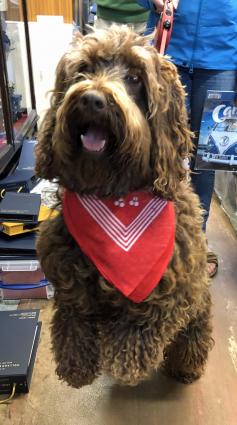 A happy customer with his red spotted handkerchief!