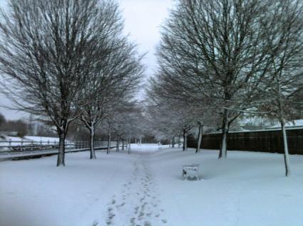 Heavy snow in Wales - but we're still open!