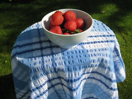 Seersucker tablecloths & other household favourites on show for Food Festival