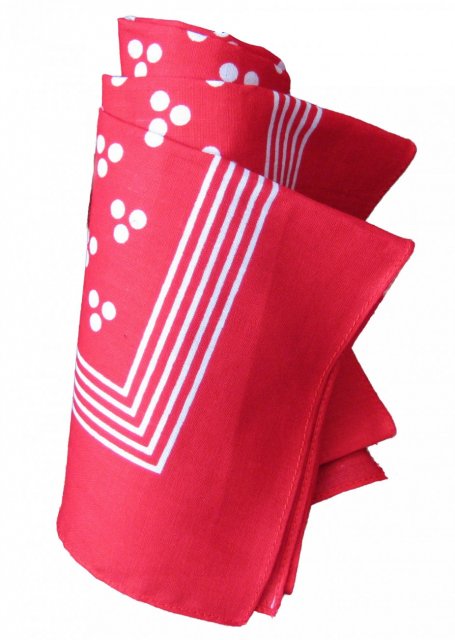 Red spotted handkerchief neckerchief bandana