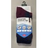 ProTrek Mountain Comfort Top socks in navy & red